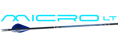 Micro LT blue logo with arrow 