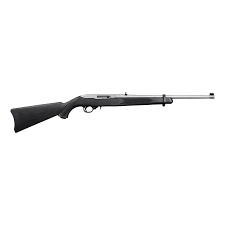 Ruger 10/22