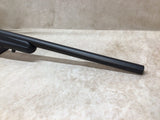 Model 25 .17 Hornet #09296005