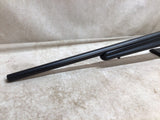 Model 25 .17 Hornet #09296005