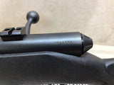Model 25 .17 Hornet #09296005