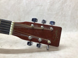 Acoustic Guitar with Gig Bag #10016801