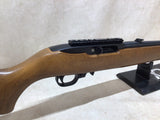 10/22 Carbine 22LR #10056002