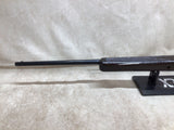 Model 1 .22 LR Rifle #10076803