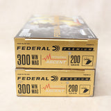 Ammo Terminal Ascent .300 Win Mag x 40 #10076902