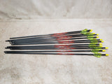 Leopard Compound Bow w/ Arrows, Case, & More #10146805