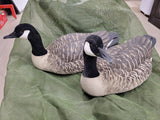 6 Canadian Goose Decoys with Bag #10206914