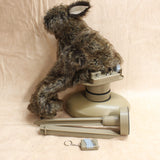 Electronic Rabbit Decoys #10236500