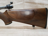 P17 Sporterized 30-06 Sprg #10286004