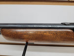 Model 77 Tube-Fed 22LR #10214005