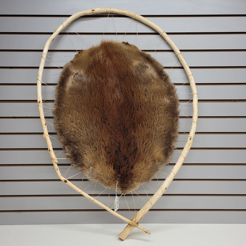 Beaver Pelt On Loop #12034402