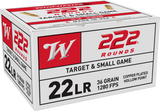 winchester 22 L R hollow point ammunition