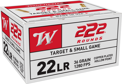 winchester 22 L R hollow point ammunition