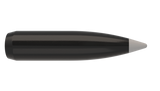 Ballistic Silvertip Bullets