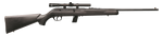 rimfire rifle with scope