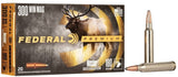 premium nosler partition ammunition