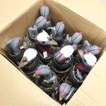 NEW Feather Flex PDQ Turkey Decoys x 12 #03055005