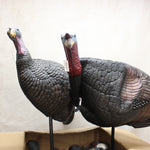 NEW Feather Flex PDQ Turkey Decoys x 12 #02255003