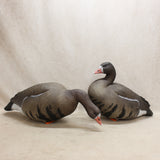X-Treme Specklebelly Decoys x12 #05256823