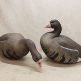 X-Treme Specklebelly Decoys x12 #05256823