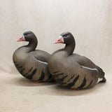 X-Treme Specklebelly Decoys x12 #05256823