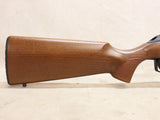 *USED* Wildcat Sporter 22LR with Extra Mag