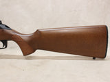 *USED* Wildcat Sporter 22LR with Extra Mag