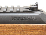 *USED* Wildcat Sporter 22LR with Extra Mag