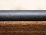 *USED* Wildcat Sporter 22LR with Extra Mag