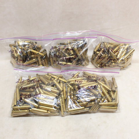 Empty Brass 223 Rem x500 #05055403