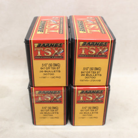 Bullets 50 Cal TSX BT x80 #11255830