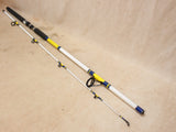 NEW Surf 10' 2-pc Spinning Rod #08306a18