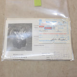 Black Bear Mount #05136838