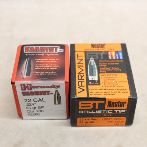 Bullets 22 Cal BTV & SP x200 #06305815