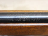 Model 144LSB 22LR #06096415