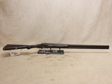 *Wallhanger* Belgian 10ga Hammergun #08176405