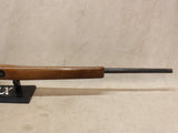 *Relic* Model 490 22LR #06156410