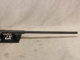 Model 55 22LR #06226429
