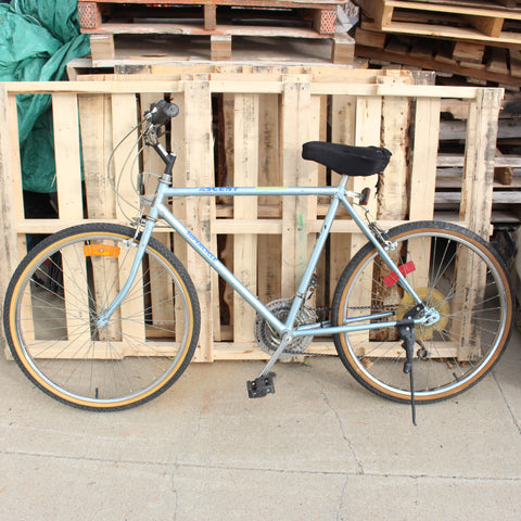 Ascent Bicycle #10235404