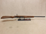 *Headspace Issue* Model 93R17 17HMR #12155410