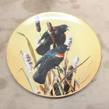 "The Red-Winged Blackbird" Collectible Plate #08256406