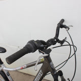 Infinity Vienna Bicycle #06256409