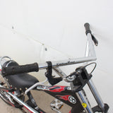 Stingray Bicycle #06256410