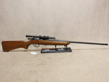 Model 511 22LR #06296404