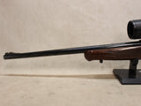 Model 81 BLR 22-250 Rem #04146401