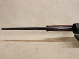 Model 81 BLR 22-250 Rem #04146401