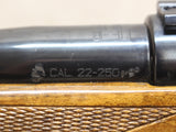 *USED* Mark X 22-250 Rem