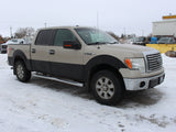 2010 F-150 Crew Cab 4x4 #03026001