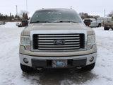 2010 F-150 Crew Cab 4x4 #03026001