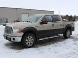 2010 F-150 Crew Cab 4x4 #03026001